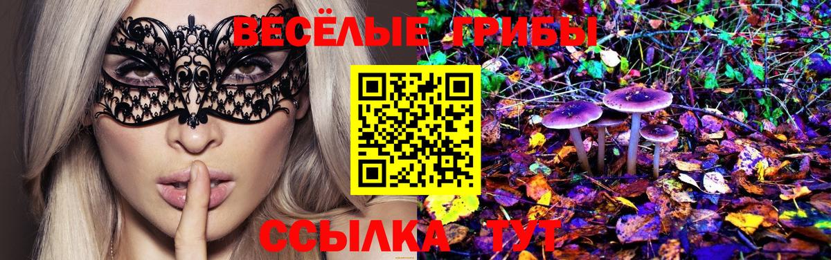Псилоцибиновые грибы мицелий  Псилоцибиновые грибы ЛСД  Вход с VPN  Мирный 